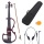 Cecilio CEVN-2NA Stil 2 metallisch Mahagoni E-Violine E-Geige mit Koffer Bild 1