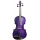 Ashton Av442 Violine (4/4) lila Bild 1