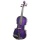 Ashton Av442 Violine (4/4) lila Bild 2