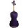 Ashton Av442 Violine (4/4) lila Bild 3