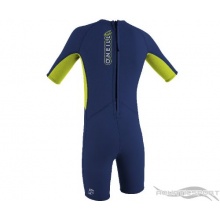 ONEILL Kinder Shorty Neoprenanzug Navy Gre 3  Bild 1