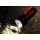 ECHTPower Diving Bis 100m Tiefe LED Taucherleuchte Bild 4