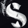 Scubapro Tauchgewichte,X-Force,T-Black,T-Sport XS-S Bild 1