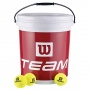 Wilson Team W Trainer 72 Tennisblle im Eimer, Gelb, 6 Bild 1