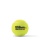 Wilson Tour Clay Red 4er Dose Tennisblle Bild 2