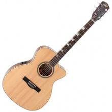 Levin LT-180CE Goliath Westerngitarre Bild 1