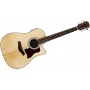 JustIn MG501 CE - Dreadnaught Westerngitarre Bild 1