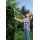 Gardena 394-20 Comfort Teleskop-Heckenschere 700 T Bild 2