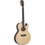 Washburn EA20SNB Akustikgitarre Bild 1