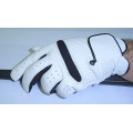 Asian-Originals Golfhandschuh CHIP Leder Herren Bild 1
