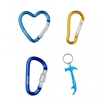 Salewa Karabiner Schlsselanhnger 48 Stck Bild 1
