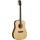 Washburn WD10S Solid Spruce DN Acoustic Gitarre Bild 1
