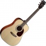 Cort Earth 70 NS Akustikgitarre Bild 1