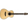 Stagg NA76F Dreadnought Akustikgitarre Bild 1