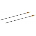 Jugend Compound Bogen SET, 2 Pfeile 10 lbs von Buchner Bild 1