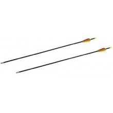 Jugend Compound Bogen SET, 2 Pfeile 10 lbs von Buchner Bild 1