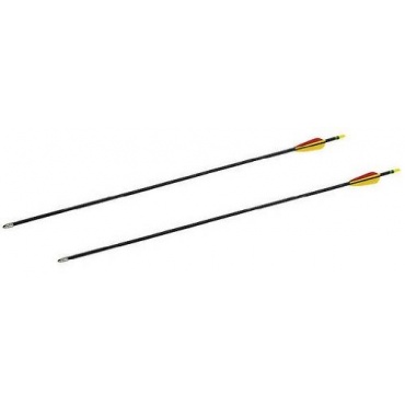 Jugend Compound Bogen SET, 2 Pfeile 10 lbs von Buchner Bild 1
