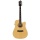 HAGSTROM DAGA-CE Natur Dalarna Grand Auditorium Bild 1