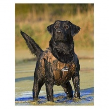 Dokken Jagen Waffen Hundetraining - Neopren Westw - L Bild 1