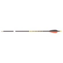 SPORTPFEIL aus Zedernholz Lnge 66cm von Brentter Bild 1
