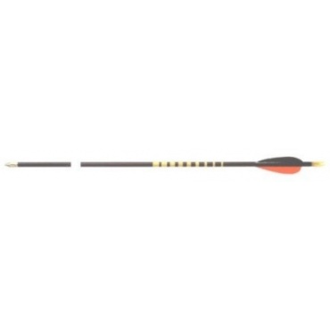 SPORTPFEIL aus Zedernholz Lnge 66cm von Brentter Bild 1
