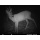 Wildkamera 12 Megapixel Ltl 5210 A von Sell-Tex GmbH Bild 5