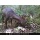Wildkamera 12 MP Fotofalle LED Lampen WK3 von Sell-tex Bild 5