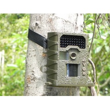 Grandview: 12MP HD Infrarot-Trail-Kamera,Wildkamera  Bild 1