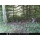 Sell-tex 12 MP Wildkamera schwarze LED WK3 Full HD Bild 5