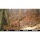 Wildkamera Moultrie Game Spy M-880 - NEU 2014 Bild 3