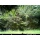 Sell-tex Wildkamera 12 MP Infrarot Tag u Nacht  Bild 4