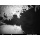 Sell-tex Wildkamera 12 MP Infrarot Tag u Nacht  Bild 5