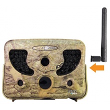 Spypoint Wildkamera Tiny Plus HD, getarnt Tiny Plus Bild 1