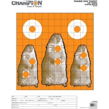 Champion Rf Prec Sight-In TRGT 10 Zielscheibe Bild 1