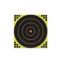 Zielscheibe Session-N-C 12 Birchwood Casey Round 12pk Bild 1