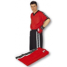 TOP TEN Kickboxhose Kampfsport Shorts Wako Gr. S rot Bild 1