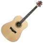 Peavey DW 2 Dreadnought Gitarre Bild 1
