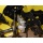 Benzin Schneefrse 6,5 PS E-Start Bild 2
