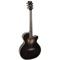 Cort SFX-FM Akustikgitarre Bild 1