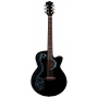 Luna Fauna Dragon Akustik Gitarre Bild 1