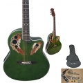Coban Electro Amazing Grn, Bltter 4eq Akustikgitarre Bild 1