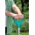 Gardena 3771-24 Terraline Spaten Bild 3