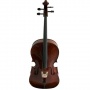 Cello Gedo dunkle Lackierung Bild 1