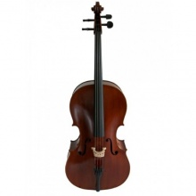 Cello Gedo rtliche Lackierung Bild 1
