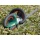 Bosch AHS 54-20 LI Akku-Heckenschere Bild 4