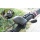 Anself Fahrrad Frontlicht Set 5 LED Fahrrad Bild 3