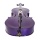 Cecilio CCO Purple Cello mit Softtragetasche Kolofonium Boge n und Saiten Bild 4
