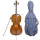 Forenza F2450E Cello Bild 1