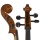 Forenza F2450E Cello Bild 6