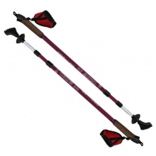 Denqbar Nordic Walkingstcke,Wanderstcke u Anti-Shock Bild 1